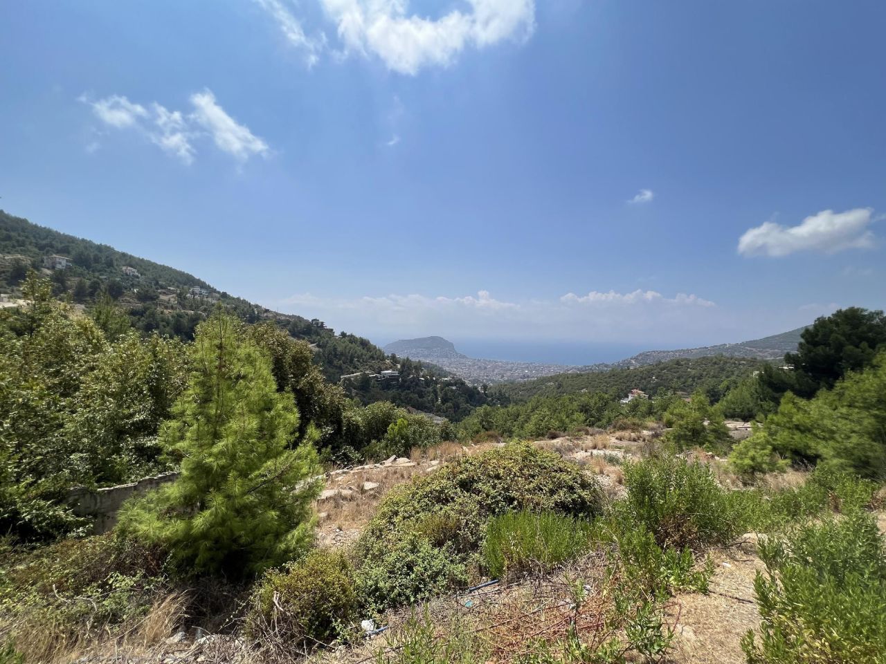 Земля в Алании, Турция, 5 000 м² - фото 3