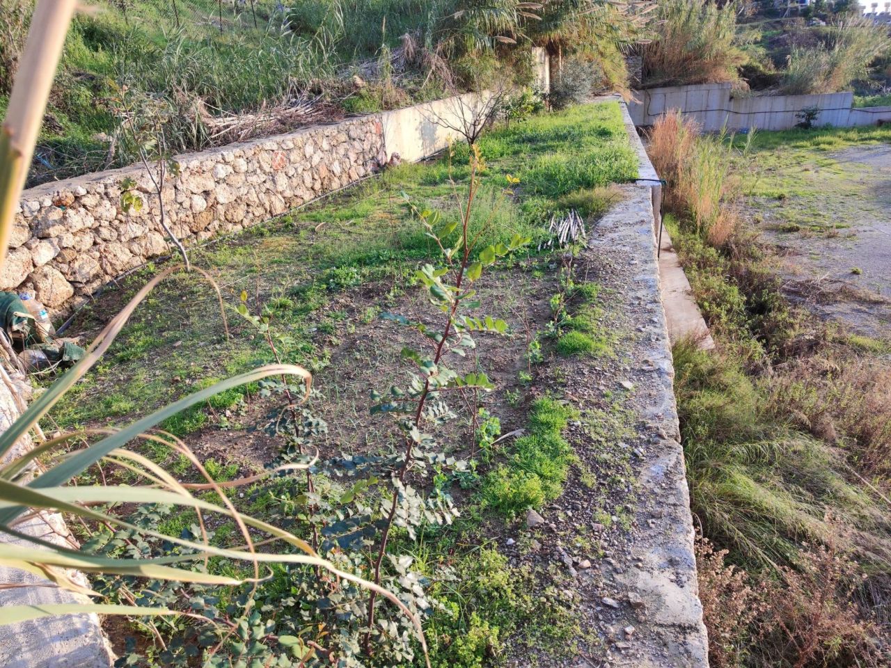 Земля в Алании, Турция, 1 036 м² - фото 4