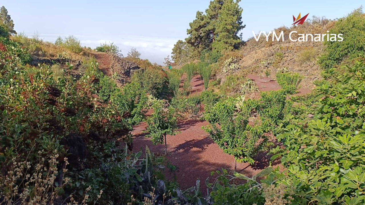 Дом на Тенерифе, Испания, 115 м² - фото 14