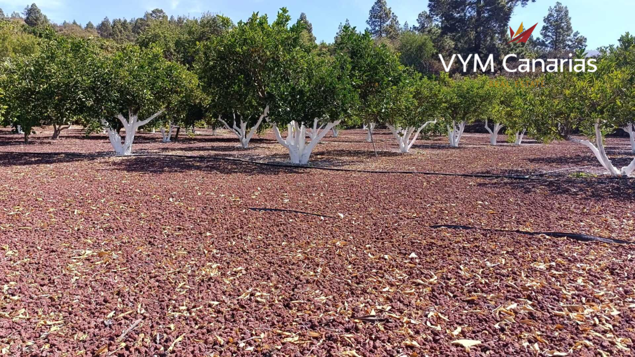 Дом на Тенерифе, Испания, 115 м² - фото 16