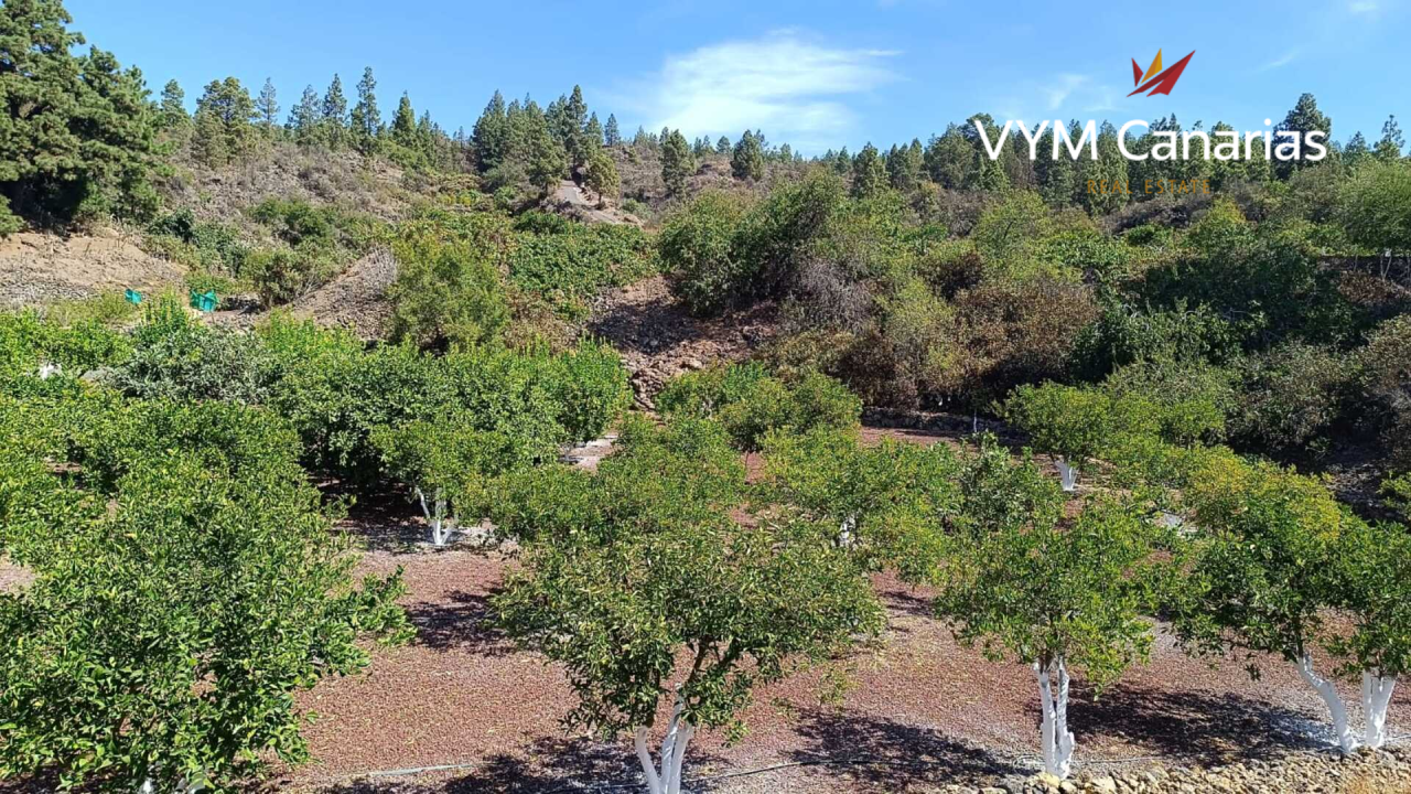 Дом на Тенерифе, Испания, 115 м² - фото 17