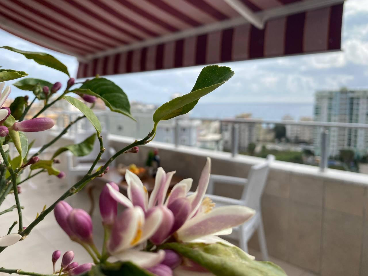 Квартира в Алании, Турция, 110 м² - фото 4