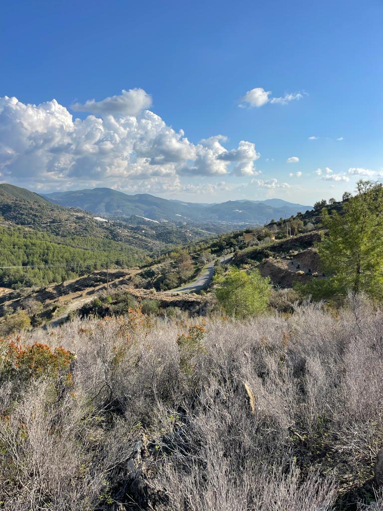 Земля в Алании, Турция, 1 000 м² - фото 4