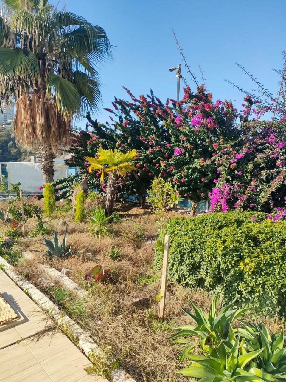 Вилла в Алании, Турция, 190 м² - фото 4