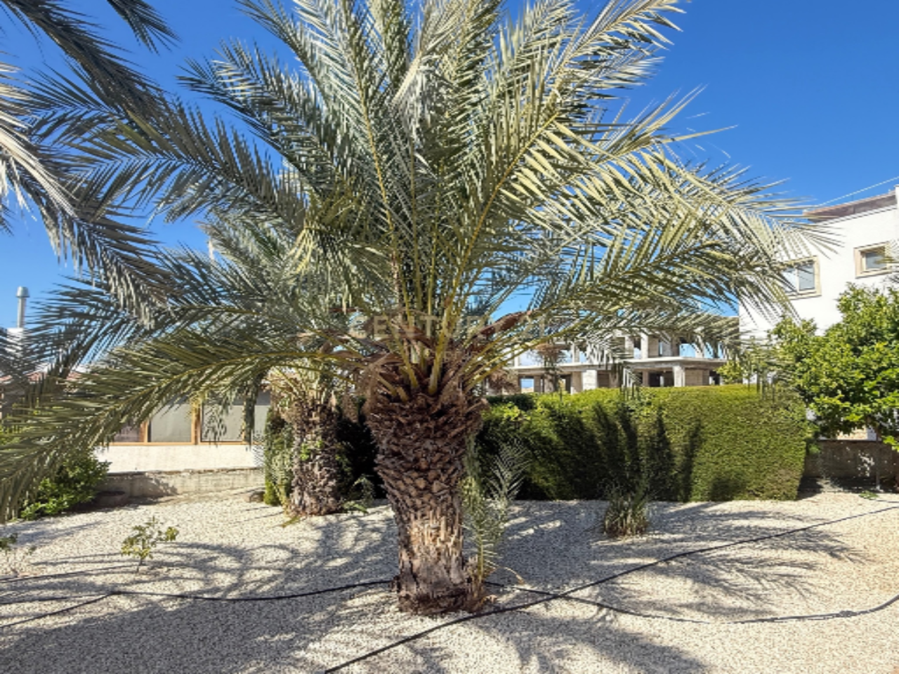 Квартира в Киссонерге, Кипр, 110 м² - фото 17