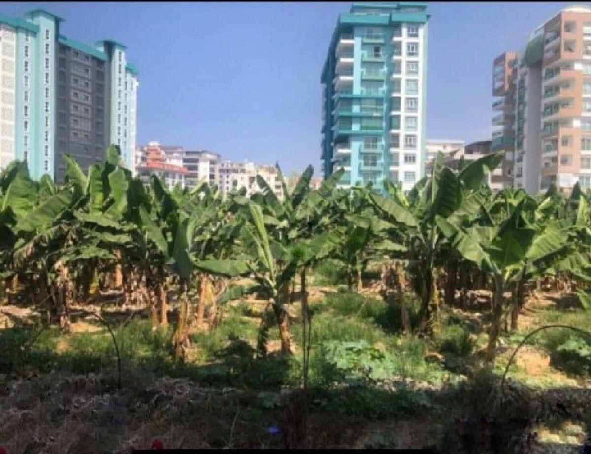 Квартира в Алании, Турция, 70 м² - фото 4