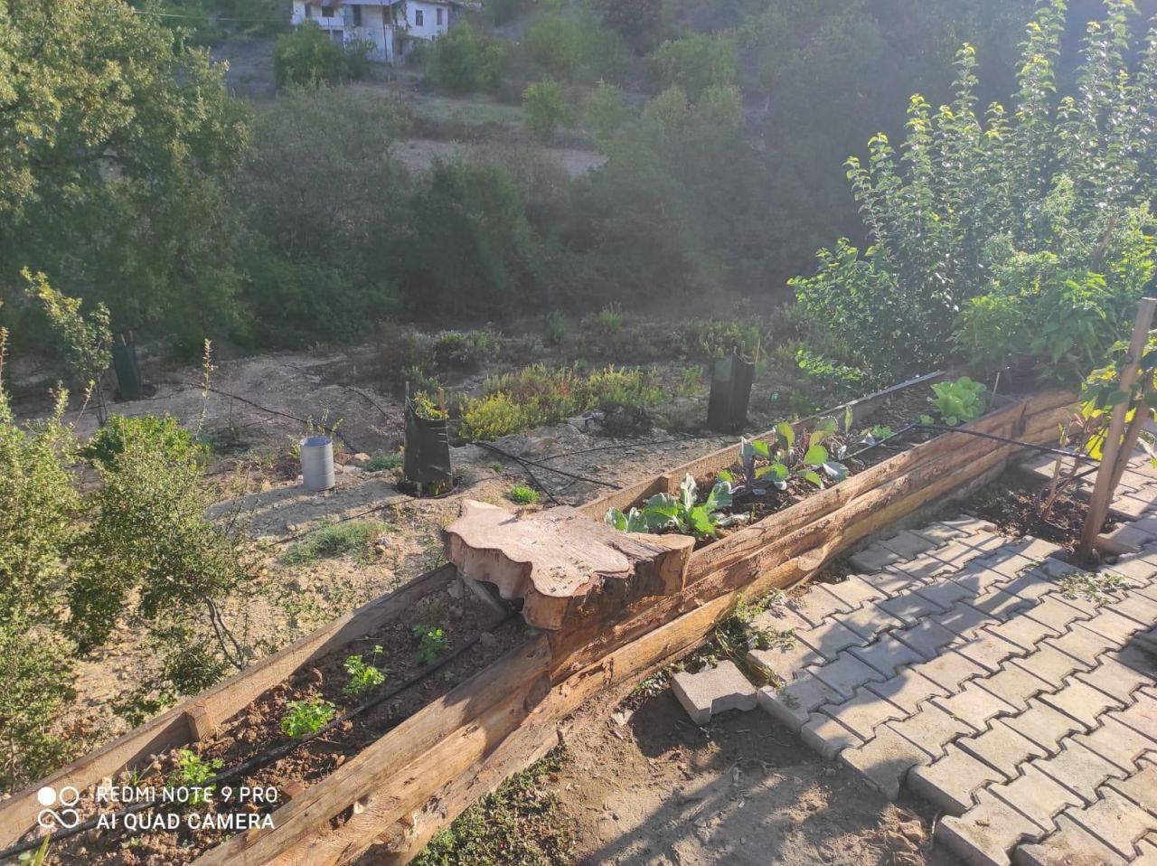 Земля в Алании, Турция, 2 480 м² - фото 4