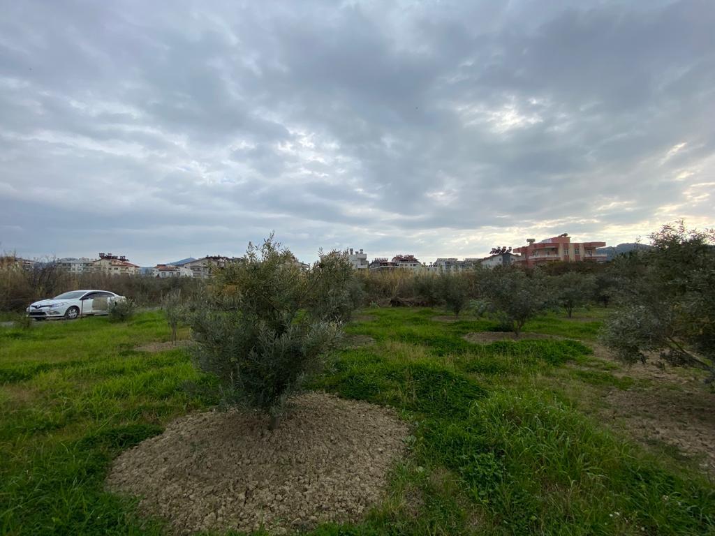 Земля в Алании, Турция, 1 175 м² - фото 5