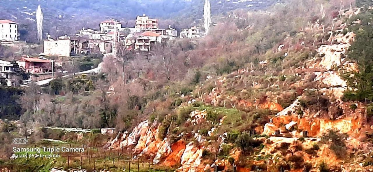 Земля в Алании, Турция, 6 300 м² - фото 5