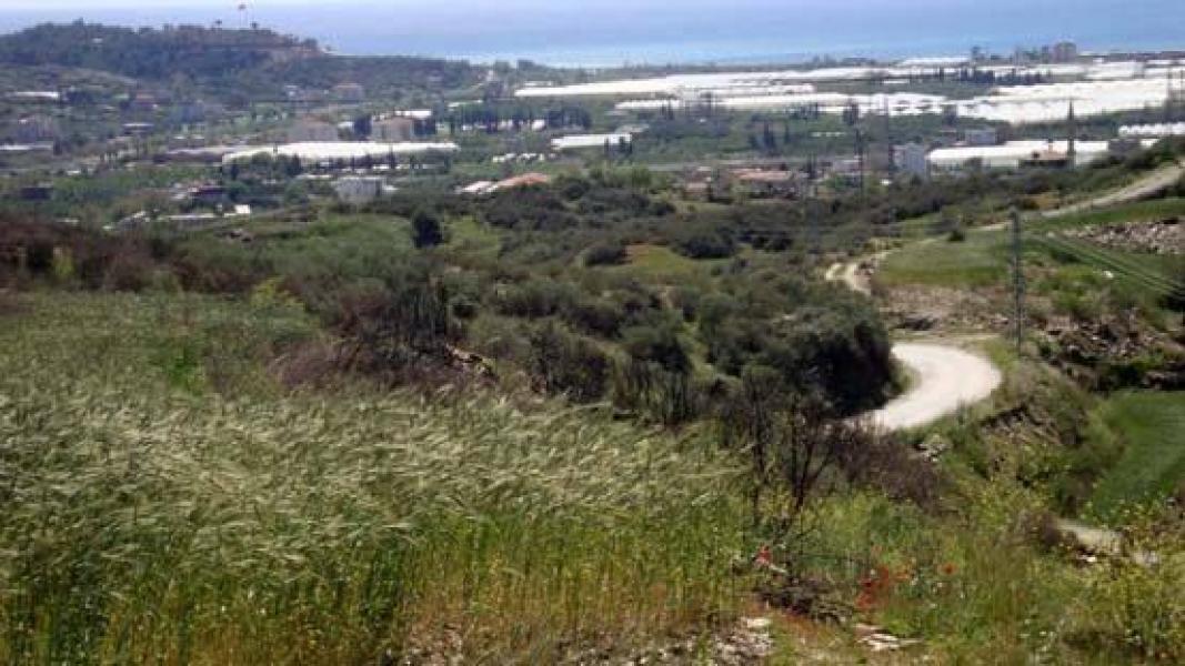 Земля в Алании, Турция, 15 000 м² - фото 5