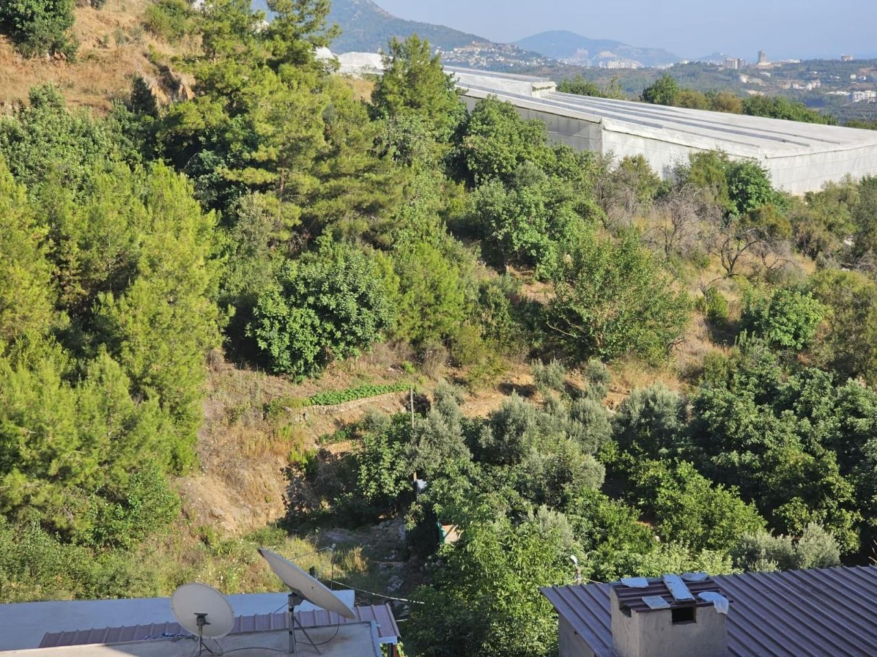 Земля в Алании, Турция, 1 299 м² - фото 5