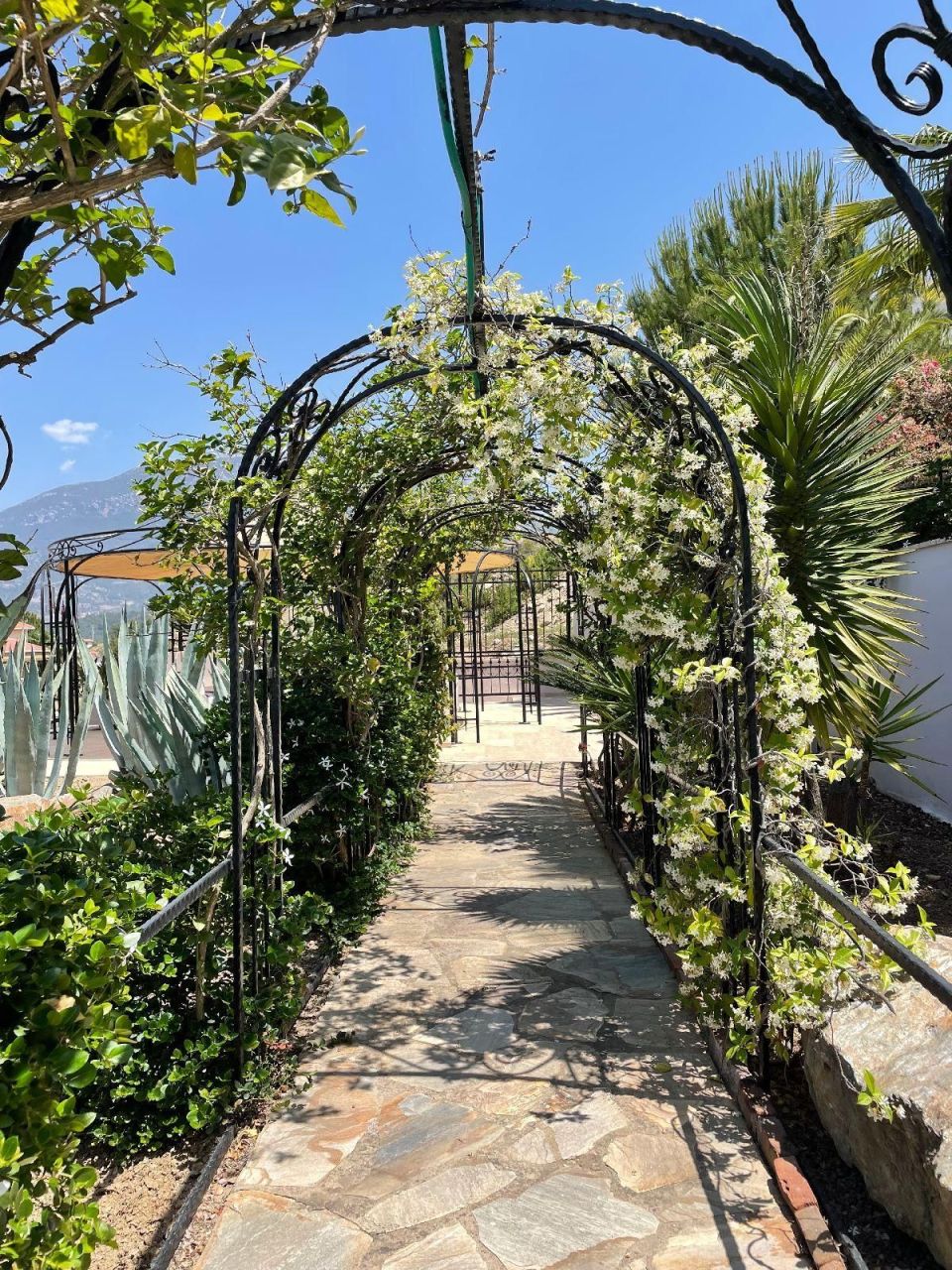 Вилла в Алании, Турция, 450 м² - фото 5