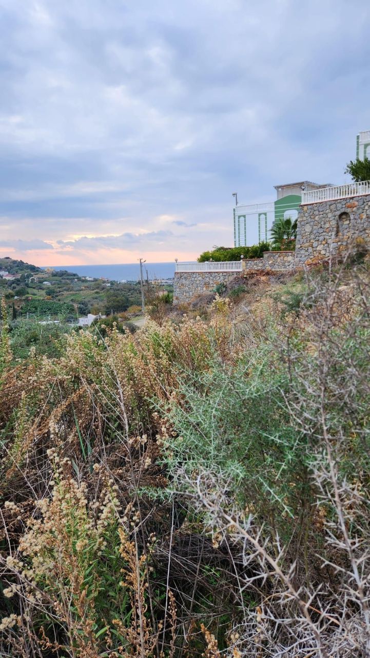 Земля в Алании, Турция, 505 м² - фото 5