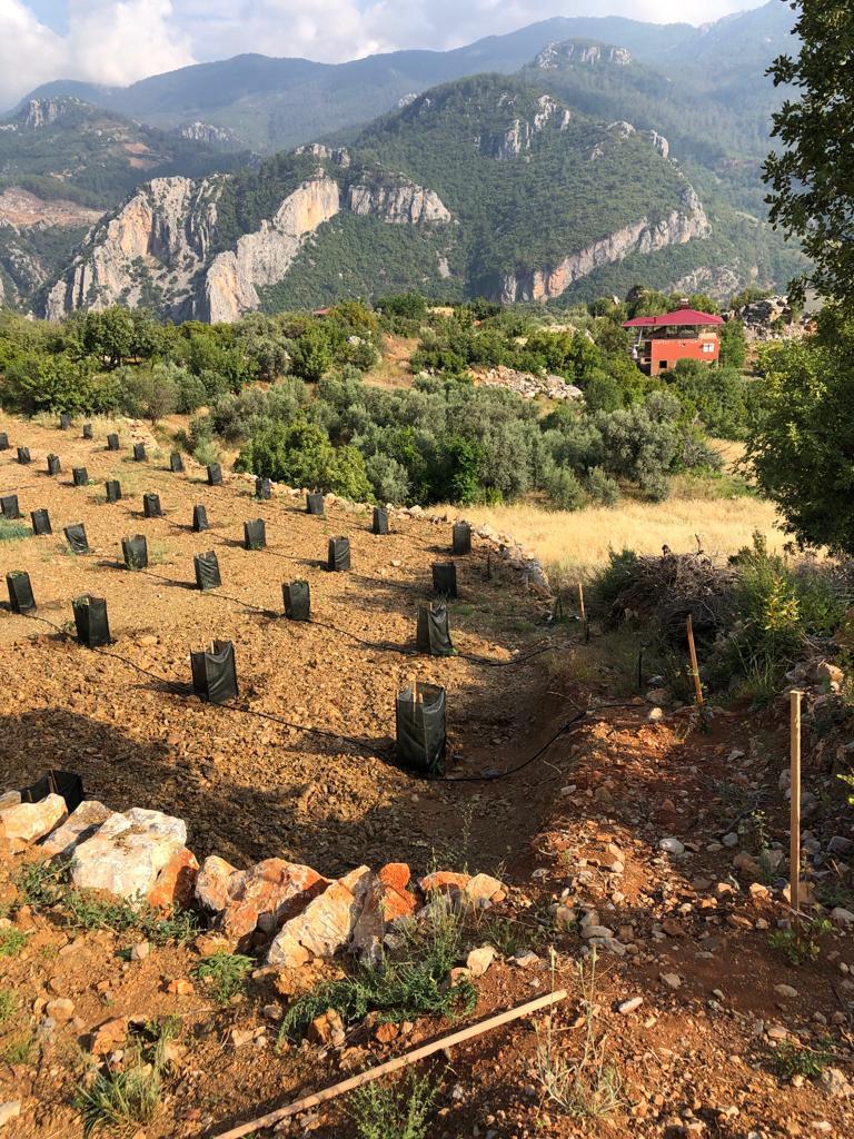 Земля в Алании, Турция, 6 039 м² - фото 5