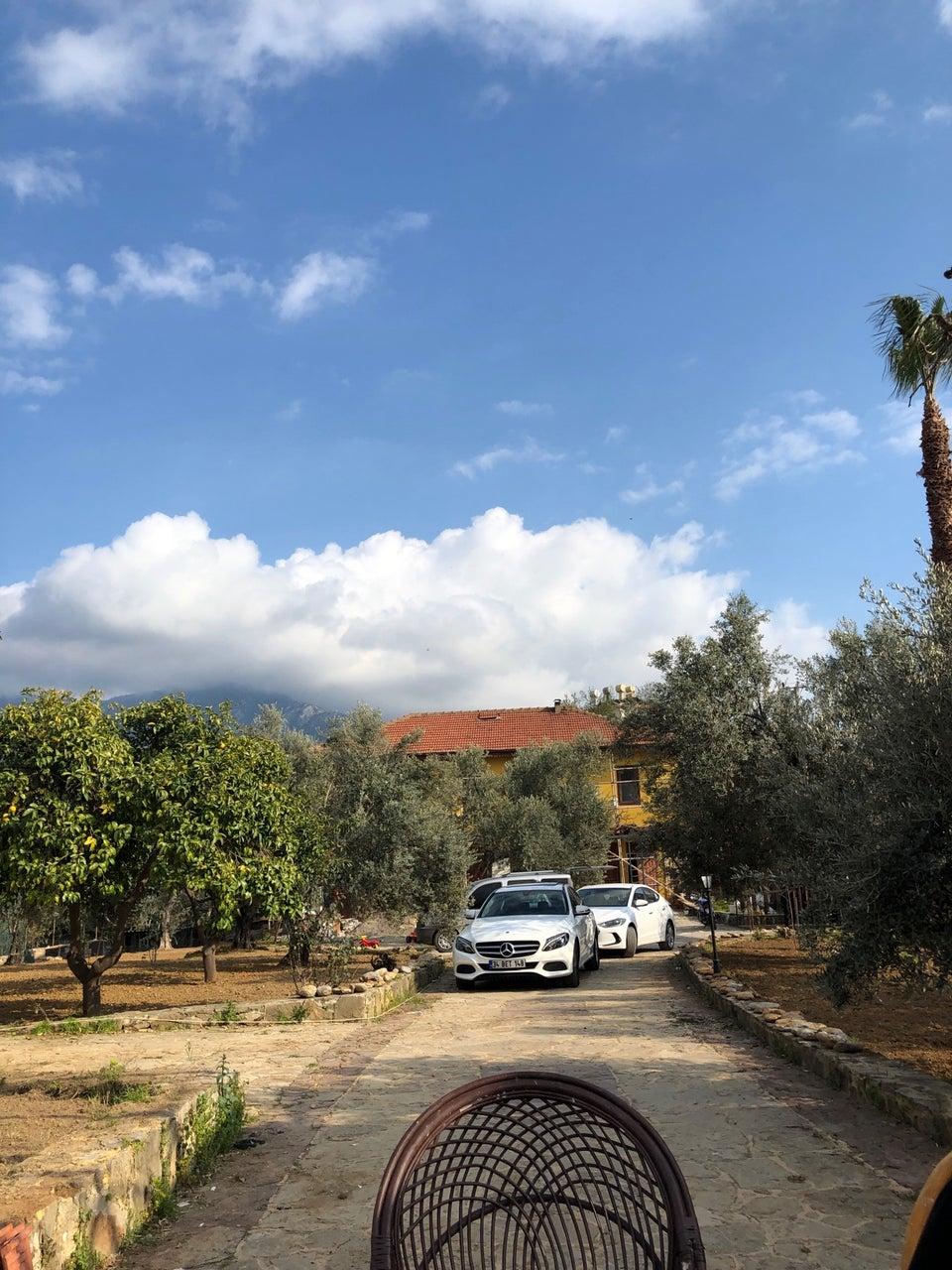 Вилла в Алании, Турция, 300 м² - фото 6