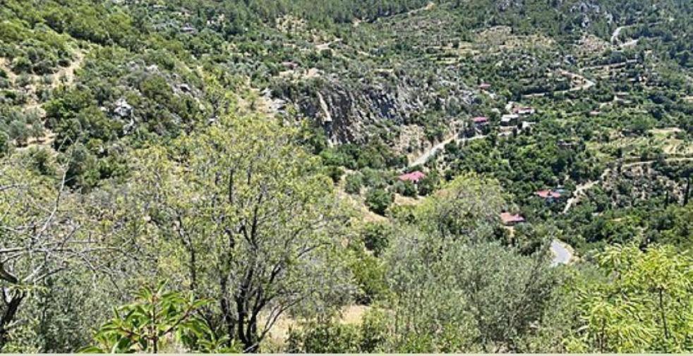 Земля в Алании, Турция, 10 221 м² - фото 6