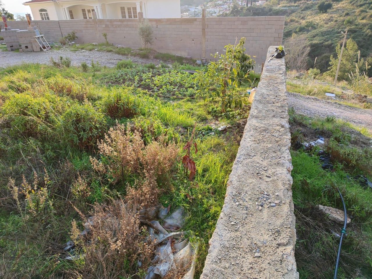 Земля в Алании, Турция, 1 036 м² - фото 6