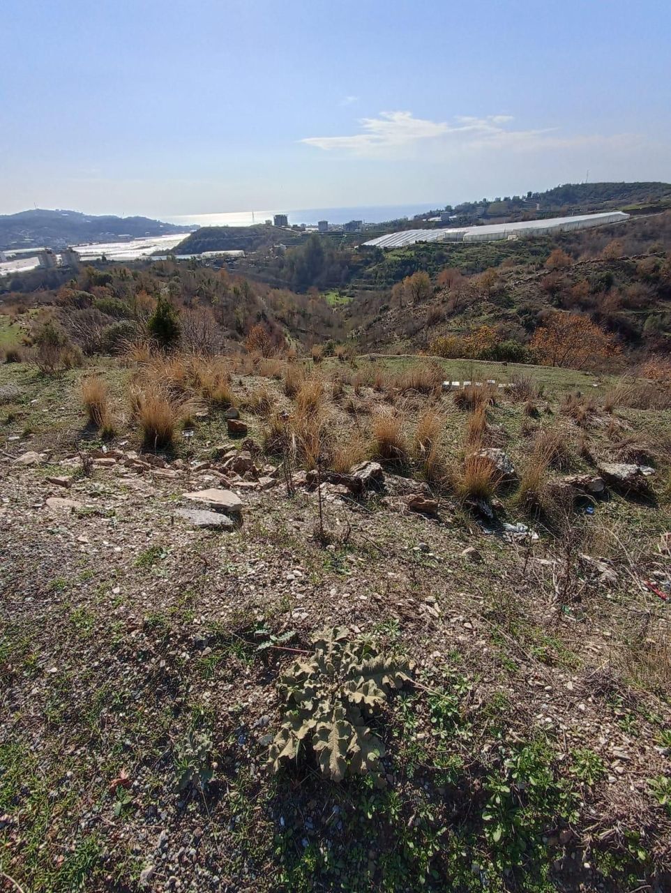 Земля в Алании, Турция, 800 м² - фото 6