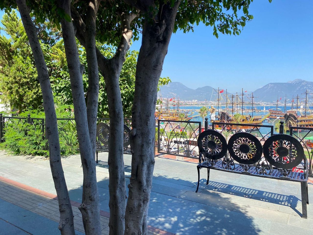 Коммерческая недвижимость в Алании, Турция, 35 м² - фото 6