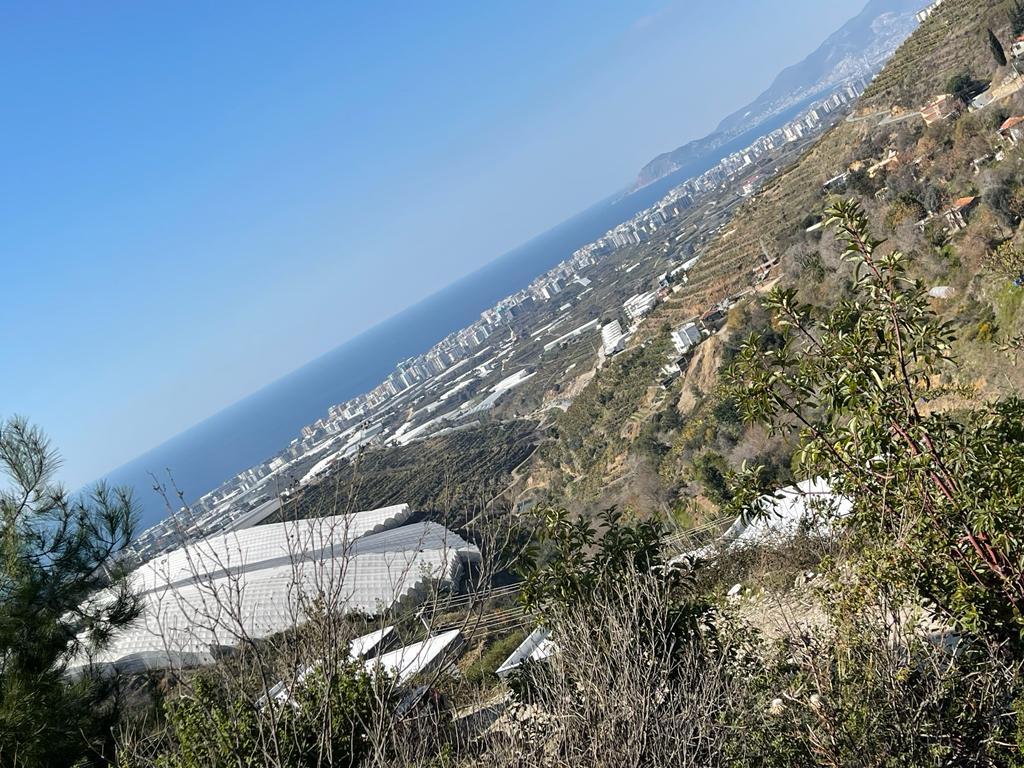 Земля в Алании, Турция, 602 м² - фото 6