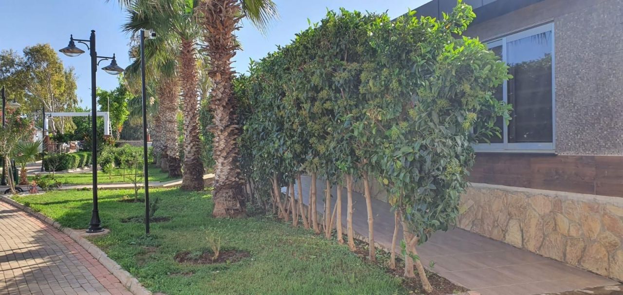 Вилла в Алании, Турция, 175 м² - фото 6