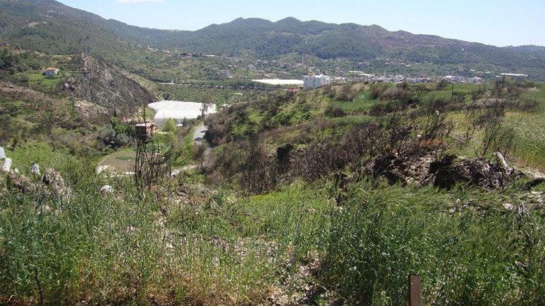 Земля в Алании, Турция, 15 000 м² - фото 6