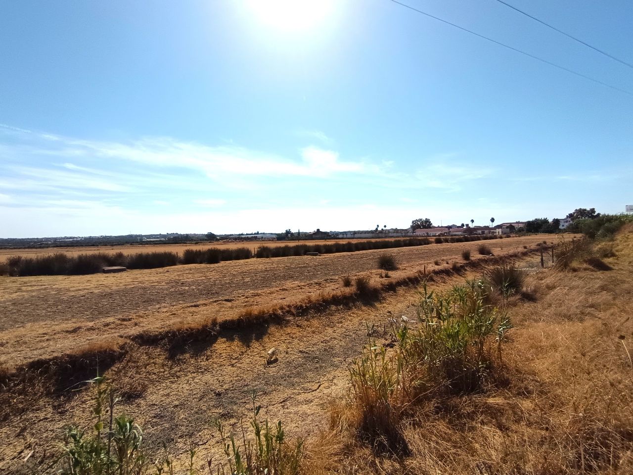 Земля в Карвоэйро, Португалия, 373 м² - фото 5