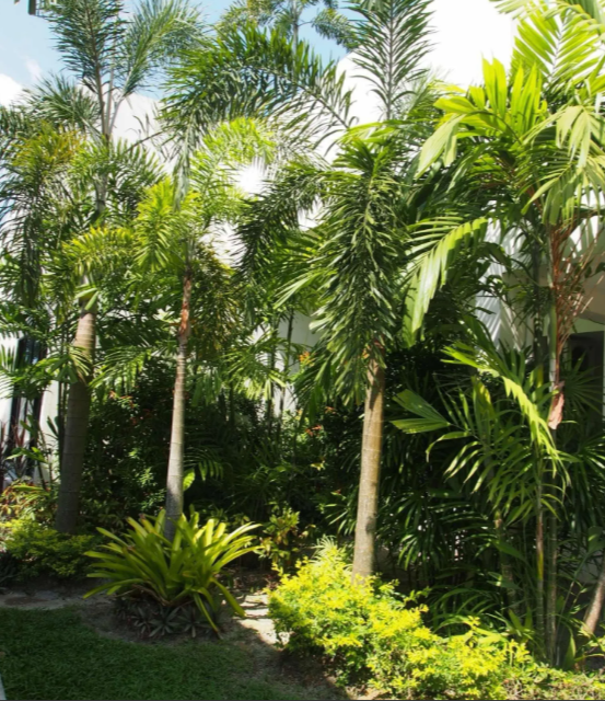 Квартира на Пхукете, Таиланд, 39 м² - фото 7