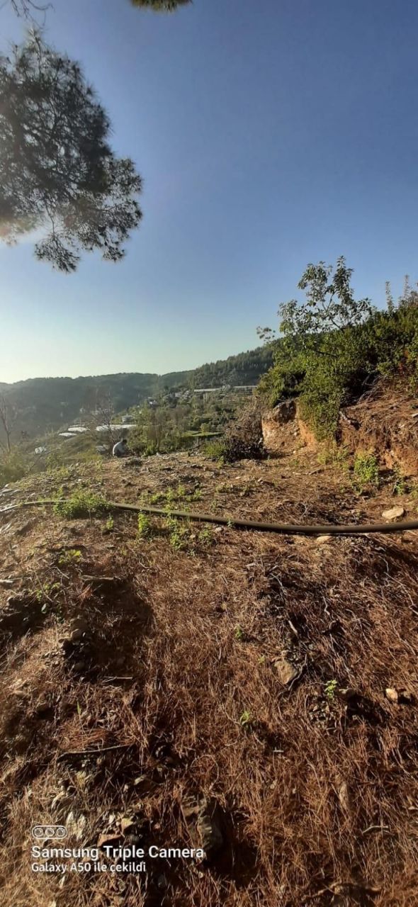 Земля в Алании, Турция, 6 300 м² - фото 7