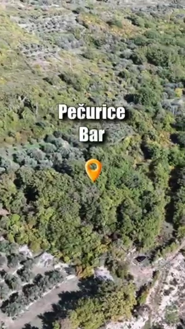 Земля в Баре, Черногория, 5 800 м² - фото 2