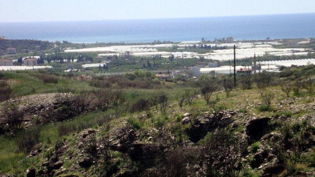 Земля в Алании, Турция, 15 000 м² - фото 7