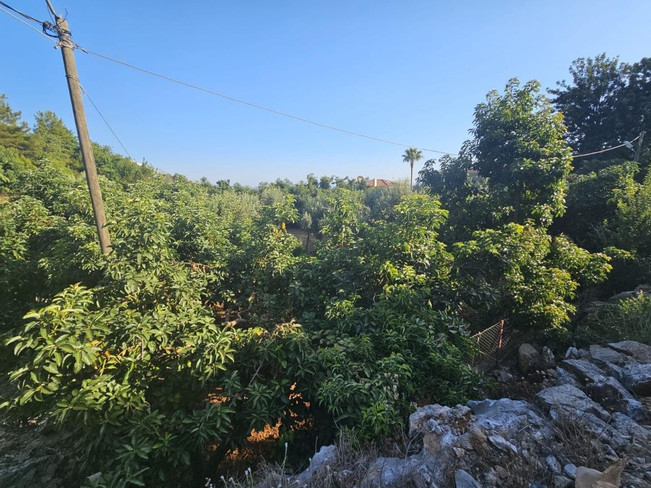 Земля в Алании, Турция, 1 299 м² - фото 8