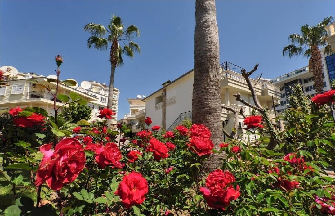 Вилла в Алании, Турция, 300 м² - фото 8