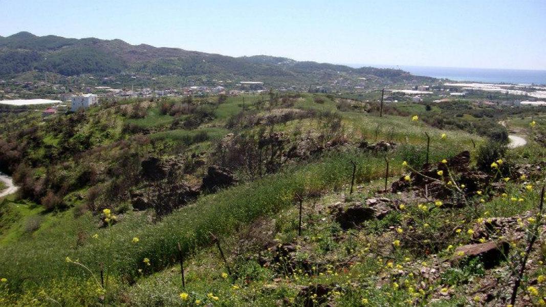 Земля в Алании, Турция, 15 000 м² - фото 9