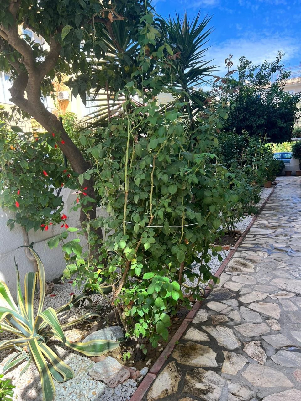 Квартира в Алании, Турция, 58 м² - фото 9