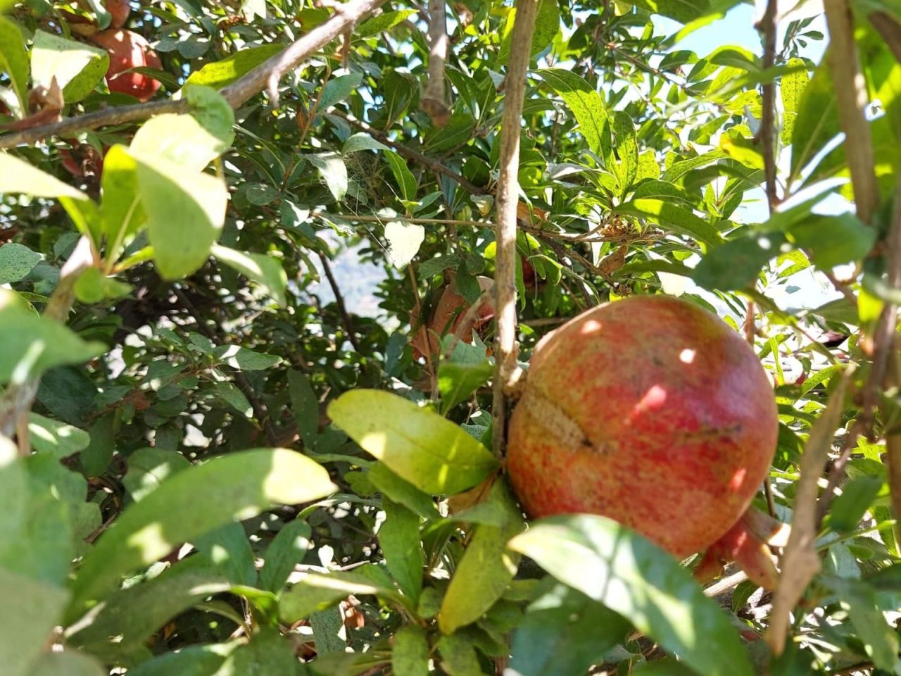 Вилла в Алании, Турция, 190 м² - фото 9