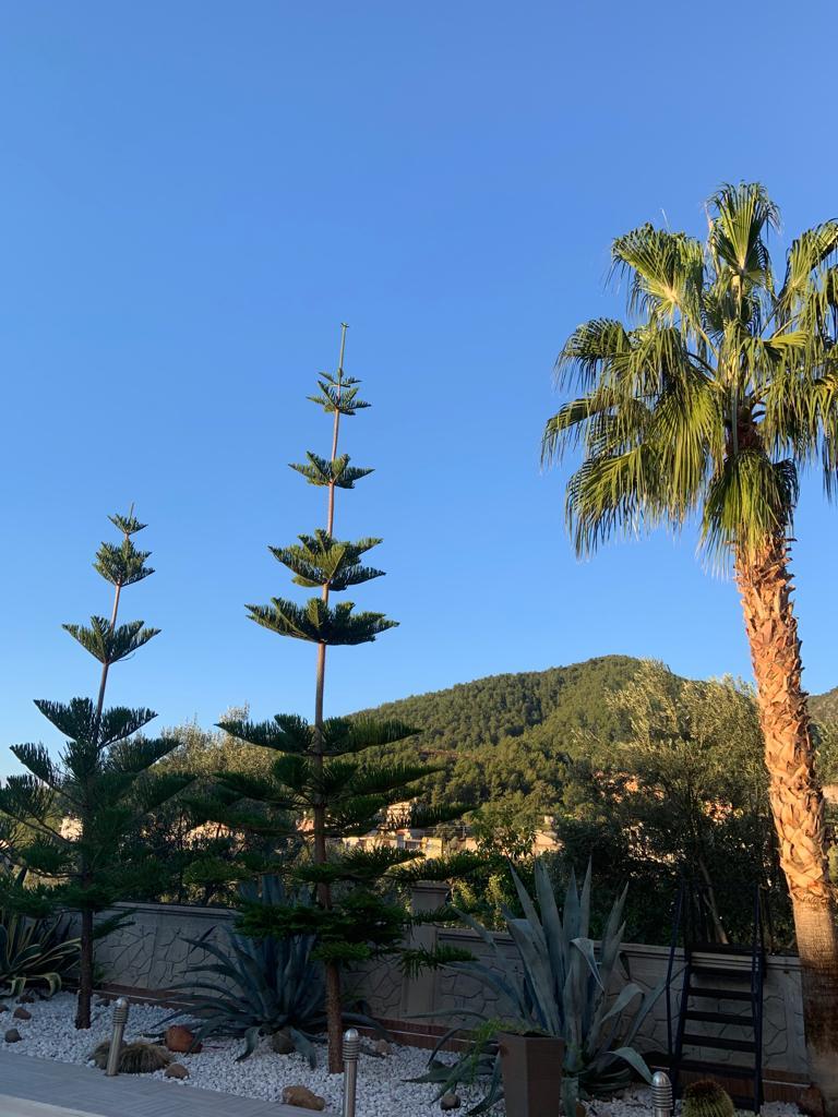 Вилла в Алании, Турция, 350 м² - фото 9