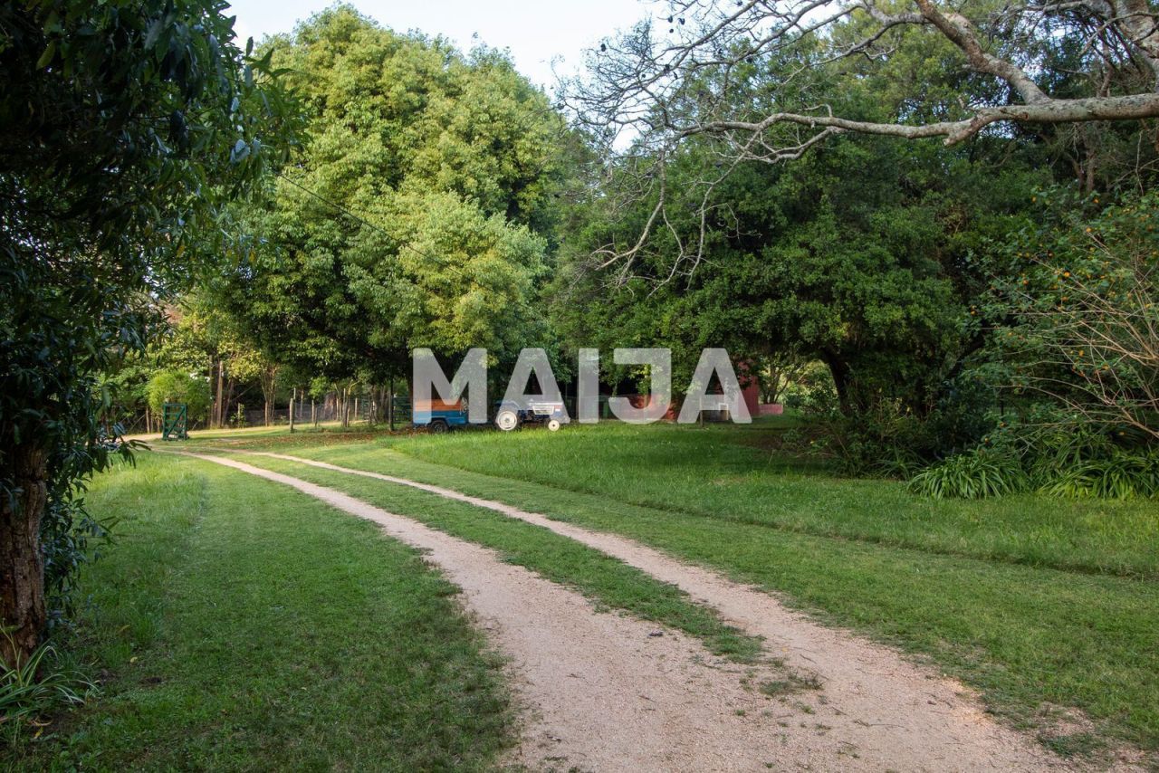 Дом Punta Ballena, Уругвай, 200 м² - фото 2