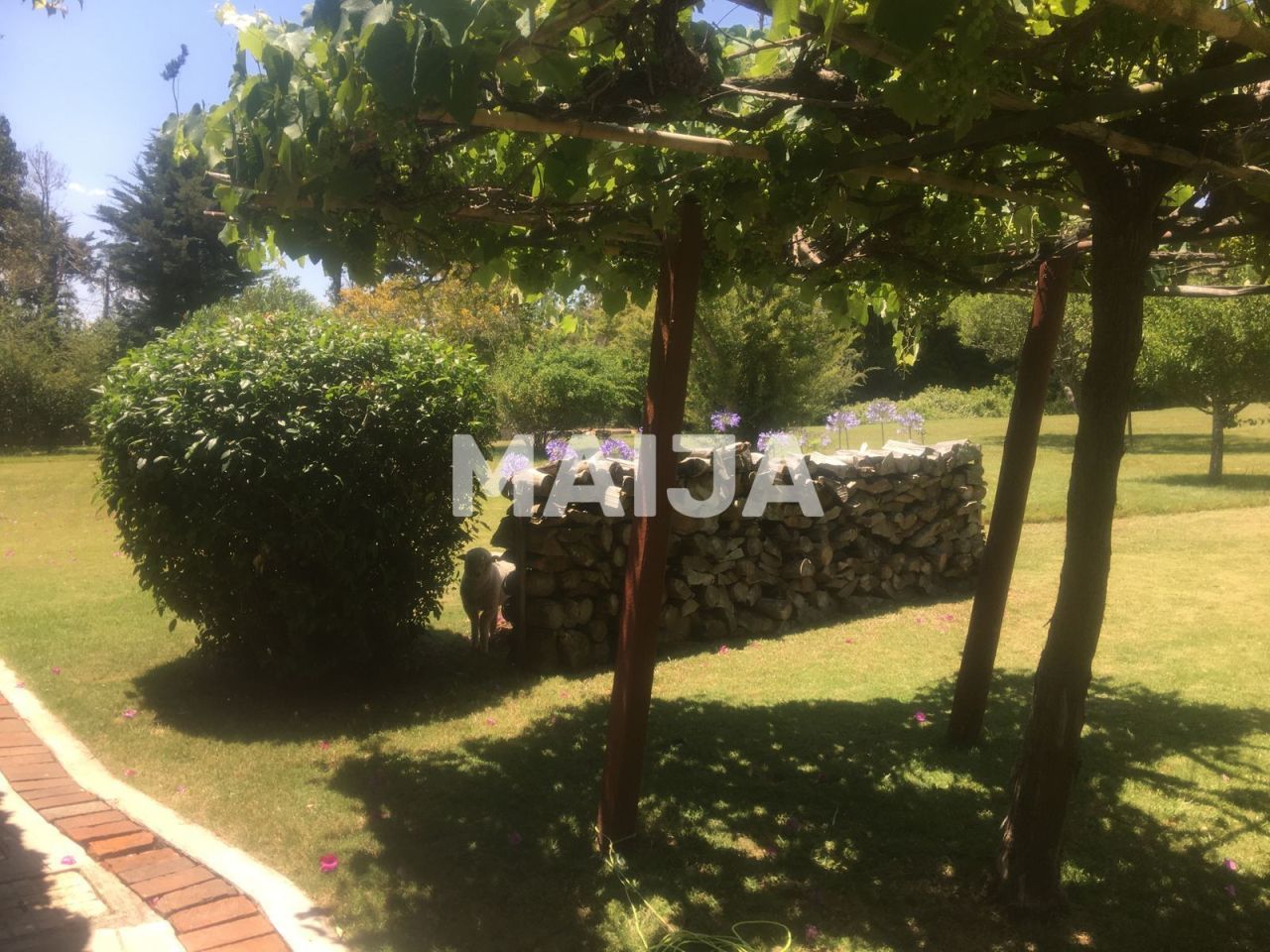 Дом Punta Ballena, Уругвай, 200 м² - фото 5