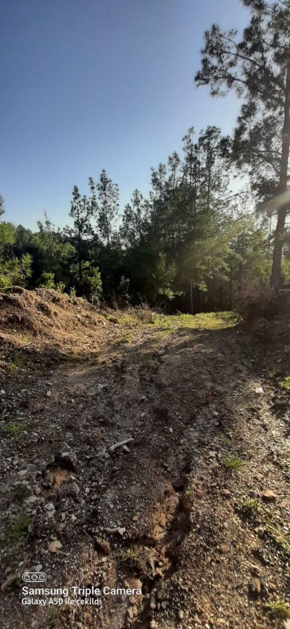 Земля в Алании, Турция, 6 300 м² - фото 9