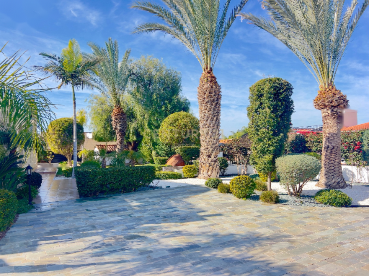 Квартира в Айос-Георгиос-Пейас, Кипр, 180 м² - фото 4