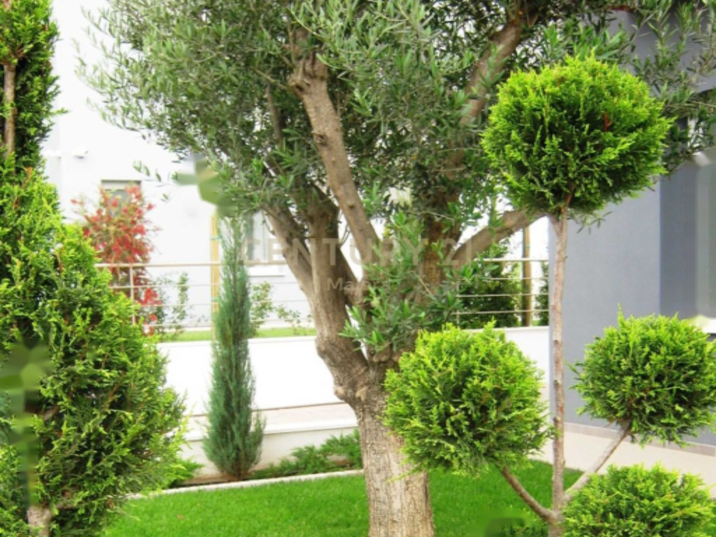 Квартира в Помосе, Кипр, 222 м² - фото 6