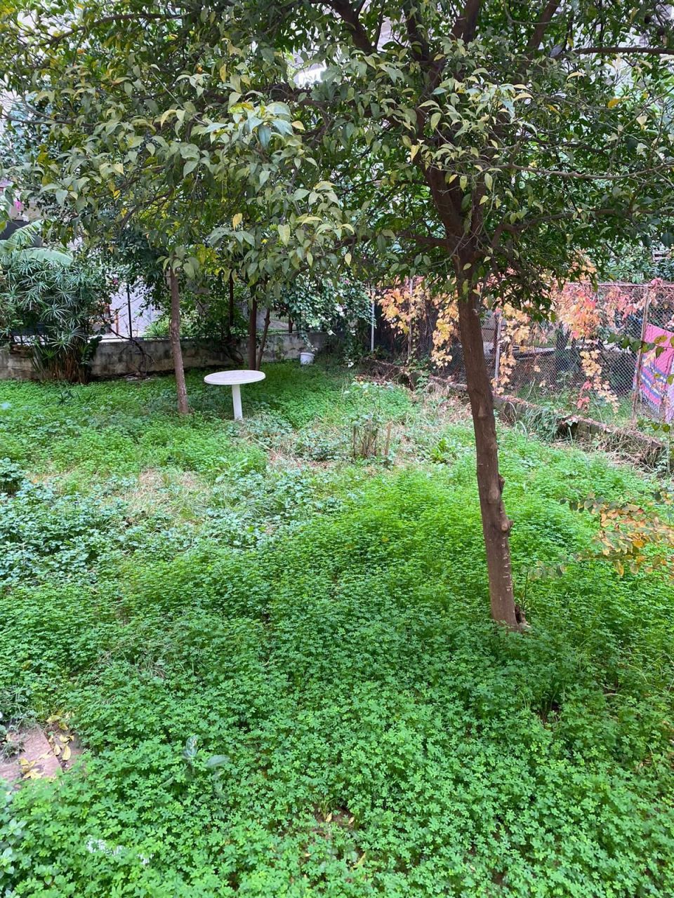 Квартира в Алании, Турция, 100 м² - фото 10