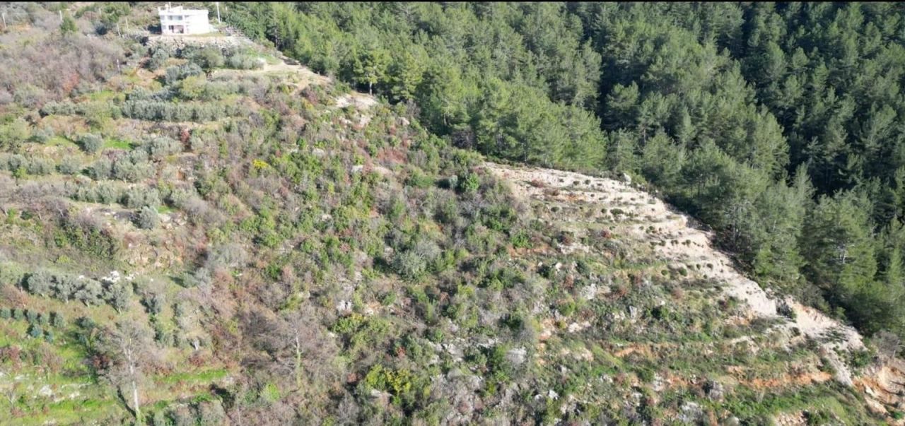 Земля в Алании, Турция, 6 300 м² - фото 11