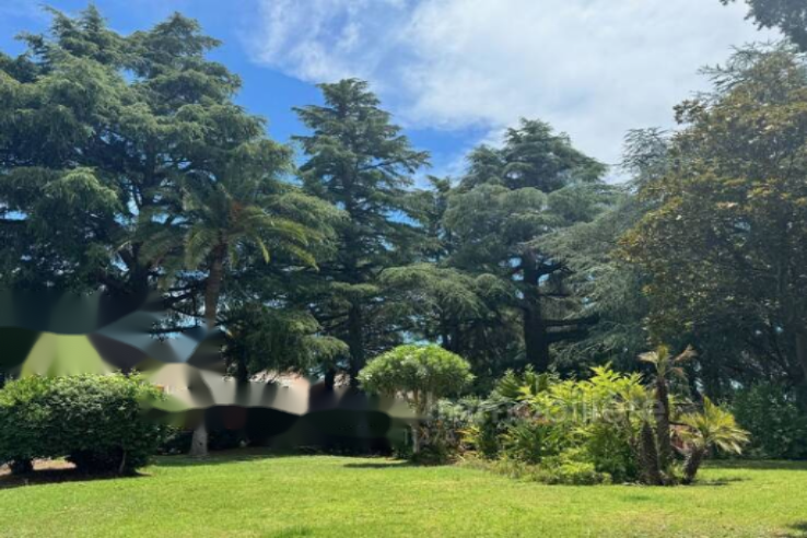 Квартира в Каннах, Франция, 35 м² - фото 5