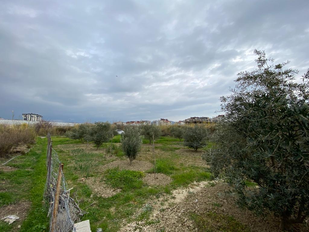 Земля в Алании, Турция, 1 175 м² - фото 11