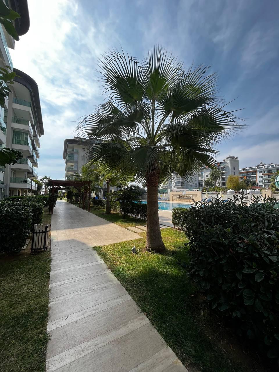 Квартира в Кестеле, Турция, 65 м² - фото 12