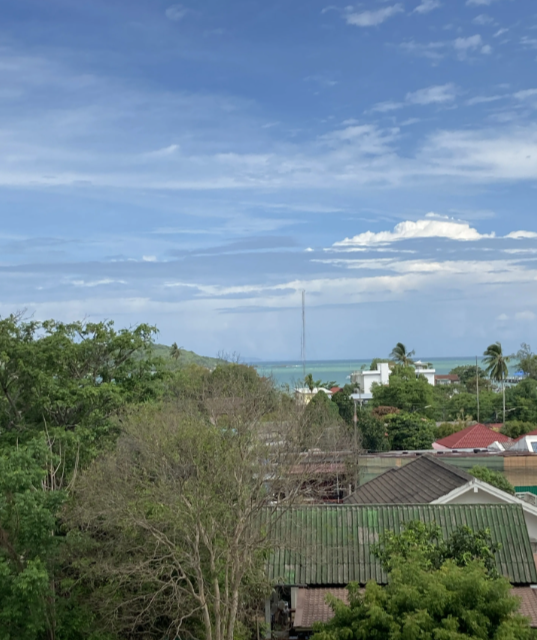 Квартира на Пхукете, Таиланд, 57 м² - фото 13
