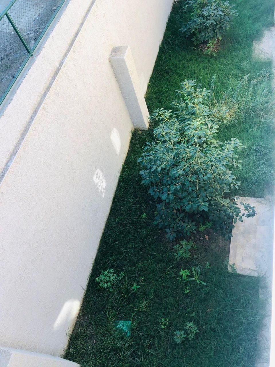 Вилла в Алании, Турция, 300 м² - фото 13