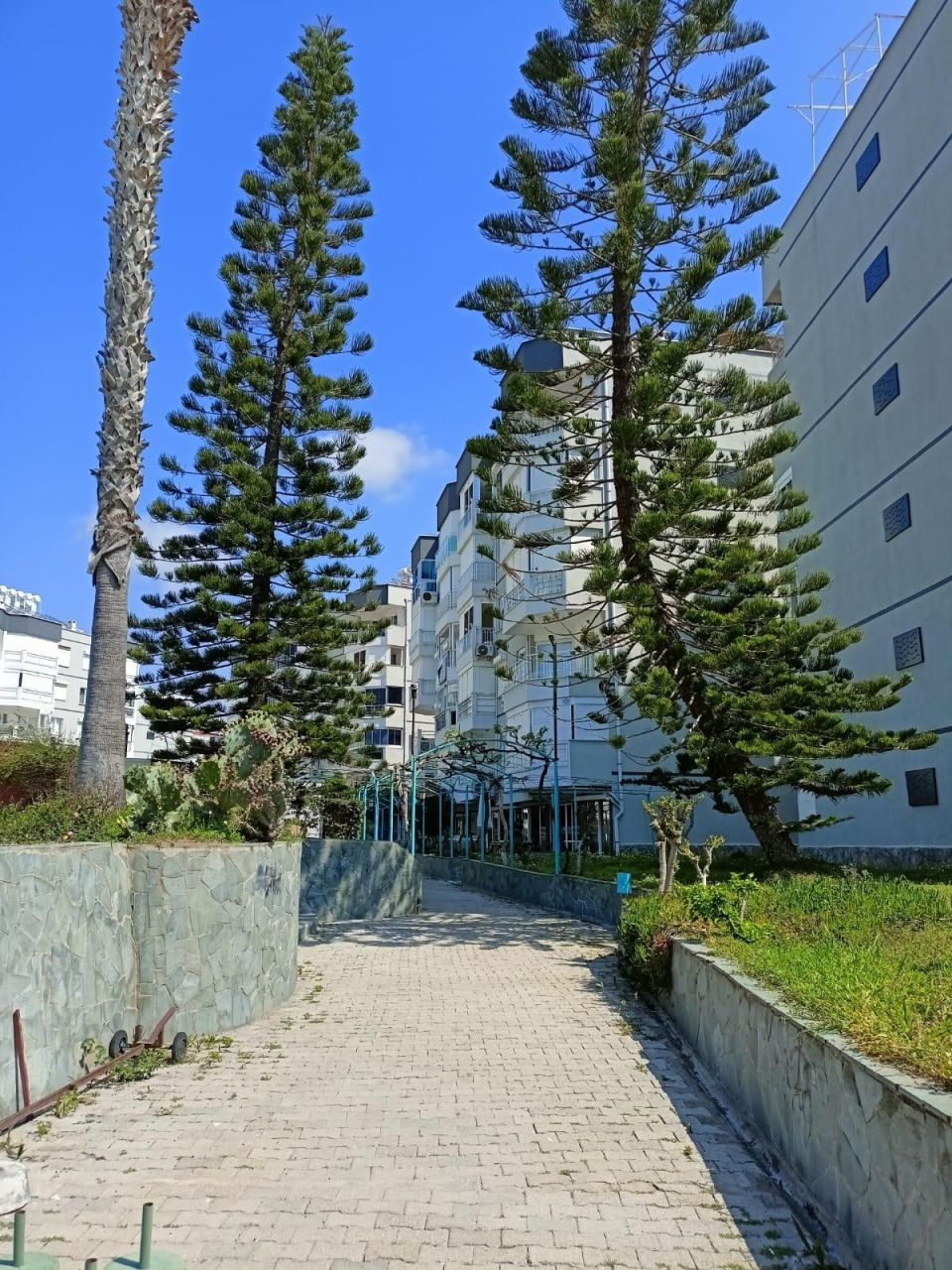 Квартира в Алании, Турция, 90 м² - фото 13